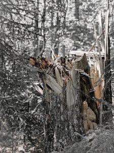 This photograph, part of the "Nature's Fury" collection, was taken along the Blue Hill Mountain Trail in Blue Hill, Maine. It vividly captures the aftermath of the coastal storms that struck Maine last year. The image features the splintered remains of a tree trunk, with its raw, exposed wood highlighted against a monochromatic forest background. The color pop technique enhances the texture and details of the broken wood, emphasizing nature's power and the landscape's resilience.