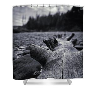 This evocative black and white photograph captures the weathered textures of a driftwood log on Little Hunters Beach in Acadia National Park. The log, shaped and smoothed by the elements, rests on a rocky shore, leading the viewer's eye towards the blurred, forested backdrop. The detailed grains and contours of the wood, highlighted by the play of light and shadow, convey a sense of enduring strength and the timeless beauty of nature's sculpting. This scene encapsulates the rugged and serene landscapes that define Acadia, inviting contemplation and exploration. Bring the raw beauty of nature’s weathered elements into your bathroom with our Beached Log Shower Curtain. This captivating photograph by Blaine Stoner features a large, weathered log resting on a rocky beach, its textured surface highlighted against the rugged backdrop. The moody tones and close-up perspective create a powerful visual impact, making this shower curtain a striking addition to any decor. Key Features: High-quality fabric: Made from 100% polyester, this shower curtain is durable, water-resistant, and designed to last. Crisp, fade-resistant print: The detailed photography is printed with precision, ensuring that the rugged textures and contrasts remain vibrant over time. Generous size: Measuring 71" x 74", it provides full coverage for standard showers and bathtubs. Easy installation: Comes with 12 reinforced hook holes, making it simple to hang with your favorite shower curtain hooks. Machine washable: Easy to care for, this shower curtain is machine washable, allowing for hassle-free maintenance. Perfect for any bathroom: Home decor: Add a touch of natural drama and rustic beauty to your bathroom with this unique and artistic shower curtain. Gifting: This shower curtain makes a thoughtful gift for those who appreciate nature, photography, and rugged decor. Transform your bathroom into a rustic coastal retreat with the Beached Log Shower Curtain. Photography by Blaine Stoner.