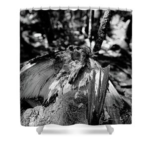 This photograph, part of the "Nature's Fury" collection, was taken along the Peters Brook Trail, part of the Blue Hill Heritage Trust in Maine. It captures the raw aftermath of the coastal storms that impacted Maine last year. The image focuses on the splintered remains of a tree trunk, highlighting the intricate textures and details of the broken wood. The black-and-white composition emphasizes the stark contrast between the tree's rugged surface and the forest background, showcasing nature's powerful forces and the landscape's resilience. Infuse your bathroom with the rugged beauty of nature's raw power with our Cut Down Shower Curtain. This intense black and white photograph by Blaine Stoner captures the detailed aftermath of a tree being cut down, revealing the intricate textures of the wood and the force required to fell it. The stark contrast and close-up perspective make this shower curtain a powerful statement piece in any decor. Key Features: High-quality fabric: Made from 100% polyester, this shower curtain is durable, water-resistant, and designed to last. Crisp, fade-resistant print: The detailed photography is printed with precision, ensuring that the rugged textures and contrasts remain vibrant over time. Generous size: Measuring 71" x 74", it provides full coverage for standard showers and bathtubs. Easy installation: Comes with 12 reinforced hook holes, making it simple to hang with your favorite shower curtain hooks. Machine washable: Easy to care for, this shower curtain is machine washable, allowing for hassle-free maintenance. Perfect for any bathroom: Home decor: Add a touch of natural drama and rugged beauty to your bathroom with this unique and artistic shower curtain. Gifting: This shower curtain makes a thoughtful gift for those who appreciate nature, photography, and bold decor. Transform your bathroom into a powerful natural retreat with the Cut Down Shower Curtain. Photography by Blaine Stoner.