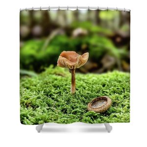 A close-up photograph taken along Peters Brook Trail, part of Blue Hill Heritage Trust. The image features a small, delicate mushroom emerging from lush, mossy greens. An acorn cap lies nearby, adding to the scene's natural charm. The background is softly blurred, highlighting the mushroom and acorn cap in sharp detail, creating a peaceful and serene forest atmosphere.Bring the delicate beauty of the forest floor into your bathroom with our Mushroom and Acorn Shower Curtain. This enchanting photograph by Blaine Stoner captures a small mushroom standing tall amidst vibrant green moss, accompanied by a tiny acorn. The close-up detail and natural composition create a serene and earthy atmosphere, making this shower curtain a perfect addition to any nature lover's decor. Key Features: High-quality fabric: Made from 100% polyester, this shower curtain is durable, water-resistant, and designed to last. Crisp, fade-resistant print: The detailed photography is printed with precision, ensuring that the rich colors and fine details remain vibrant over time. Generous size: Measuring 71" x 74", it provides full coverage for standard showers and bathtubs. Easy installation: Comes with 12 reinforced hook holes, making it simple to hang with your favorite shower curtain hooks. Machine washable: Easy to care for, this shower curtain is machine washable, allowing for hassle-free maintenance. Perfect for any bathroom: Home decor: Add a touch of woodland charm and natural beauty to your bathroom with this unique and artistic shower curtain. Gifting: This shower curtain makes a thoughtful gift for those who appreciate nature, photography, and earthy decor. Transform your bathroom into a peaceful forest retreat with the Mushroom and Acorn Shower Curtain. Photography by Blaine Stoner.