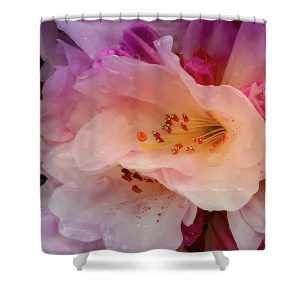 Step into a world of natural elegance with the "Drops on Azaleas" shower curtain. This stunning piece by Blaine Stoner captures the delicate beauty of azalea petals kissed by morning dew. The vibrant colors and intricate details bring the essence of a blooming garden into your bathroom, offering a fresh, serene ambiance. Key Features: High-quality fabric: Made from 100% polyester, this shower curtain is durable, water-resistant, and designed to last. Crisp, fade-resistant print: The detailed photography is printed with precision, ensuring that the vivid colors and delicate details remain vibrant over time. Generous size: Measuring 71" x 74", it provides full coverage for standard showers and bathtubs. Easy installation: Comes with 12 reinforced hook holes, making it simple to hang with your favorite shower curtain hooks. Machine washable: Easy to care for, this shower curtain is machine washable, allowing for hassle-free maintenance. Perfect for Any Bathroom: Home decor: Infuse your bathroom with the vibrant charm of nature with this unique and artistic shower curtain. Gifting: This shower curtain makes a thoughtful gift for those who appreciate flowers, photography, and the tranquility of nature. Transform your bathroom into a serene sanctuary with the "Drops on Azaleas" shower curtain. Photography by Blaine Stoner.