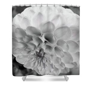 Elevate your bathroom decor with the stunning Glowing Pedals shower curtain, featuring the exquisite photography of Blaine Stoner. The image showcases a beautiful flower in soft grayscale, highlighting the delicate petals and intricate details in a way that creates a serene and elegant atmosphere. The monochromatic tones bring out the texture and depth of the flower, making it a perfect piece to add a touch of sophistication and tranquility to your space. Key Features: Premium Quality Fabric: Made from durable and water-resistant material, this shower curtain is designed for long-lasting use. Vibrant, Fade-Resistant Print: The high-resolution image is printed with precision, ensuring the design stays vibrant and clear over time. Easy to Install: Includes reinforced buttonholes for easy hanging on standard curtain rods. Machine Washable: Easy to clean and maintain, keeping your bathroom fresh and stylish. Add an elegant touch to your bathroom with this beautiful shower curtain. Photography by Blaine Stoner.