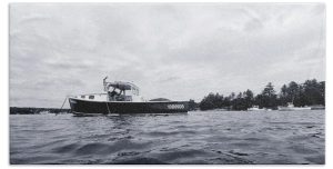 Capture the essence of coastal life with the "Lobster Boat #1080905" towel, showcasing a striking black-and-white photograph of a lobster boat moored in a calm Maine harbor. This image by Blaine Stoner reflects the serene yet industrious nature of Maine’s fishing culture. The contrast between the boat's sleek lines and the surrounding water adds a dramatic and timeless quality to this unique towel, making it a perfect addition to any nautical-themed decor. Key Features: High-Quality Material: Crafted from soft, absorbent fabric that ensures comfort and long-lasting durability. Detailed, Fade-Resistant Print: The black-and-white photograph is printed in high resolution, preserving its vivid details through multiple washes. Generous Size: Available in various sizes, this towel offers ample coverage for use as a bath towel or beach towel. Machine Washable: Easy to care for, simply machine wash and tumble dry to maintain its quality. Perfect for Any Home: Home Decor: Enhance your bathroom or kitchen with a touch of nautical charm and coastal elegance. Gifting: Ideal for lovers of marine life, boating, and coastal aesthetics, this towel makes a thoughtful gift. Bring the spirit of Maine's coastal waters into your home with the "Lobster Boat #1080905" towel. Photography by Blaine Stoner.