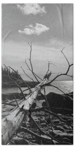 Add a touch of rugged coastal beauty to your bathroom with The Fallen Towels, showcasing the striking photography of Blaine Stoner. This towel captures the haunting elegance of a fallen tree resting along a rocky shoreline, with the serene sea and a cloudy sky in the background. The monochromatic tones lend a timeless, dramatic feel, making it a perfect accessory for those who appreciate the raw beauty of nature. Key Features: Premium Quality Fabric: Crafted from high-quality materials for softness, absorbency, and durability. Vibrant, Fade-Resistant Print: The vivid details are expertly printed to maintain their sharpness over time, ensuring your towel remains a stunning piece of art. Versatile Size Options: Available in multiple sizes, from hand towels to full beach towels, making it a perfect fit for any need. Easy Care: Machine washable for hassle-free cleaning and maintenance. Bring the wild beauty of the coast into your home with this striking towel. Photography by Blaine Stoner.