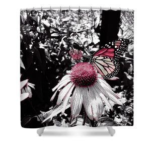 Elevate your bathroom decor with the vibrant and eye-catching "The Monarch" Shower Curtain. This stunning photograph by Blaine Stoner captures the delicate beauty of a monarch butterfly perched on a vibrant flower. The selective use of color against a black and white background creates a striking contrast, making this piece a bold statement for any bathroom. Key Features: High-Quality Fabric: Made from 100% polyester, this shower curtain is durable, water-resistant, and designed to last. Detailed, Fade-Resistant Print: The high-resolution print ensures that the vivid colors and intricate details of the monarch butterfly remain vibrant over time. Generous Size: Measuring 71" x 74", it provides full coverage for standard showers and bathtubs. Easy Installation: Comes with 12 reinforced hook holes, making it simple to hang with your favorite shower curtain hooks. Machine Washable: Easy to care for, this shower curtain is machine washable, allowing for hassle-free maintenance. Perfect for Any Bathroom: Home Decor: Add a touch of nature's elegance to your bathroom with this beautifully artistic shower curtain. Gifting: This shower curtain makes a thoughtful gift for nature lovers, photography enthusiasts, and those who appreciate unique, vibrant decor. Transform your bathroom into a nature-inspired retreat with "The Monarch" Shower Curtain. Photography by Blaine Stoner.