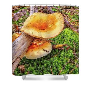 Add a touch of vibrant nature to your bathroom with the Mushroom and the Log shower curtain, showcasing the stunning photography of Blaine Stoner. The vivid image captures the organic beauty of a pair of golden mushrooms resting on a moss-covered forest floor, intertwined with a fallen log. The rich textures and colors bring the forest to life, creating an immersive experience every time you step into your bathroom. Key Features: Premium Quality Fabric: Made from durable, water-resistant polyester to ensure long-lasting use and vibrant colors. Vivid, Fade-Resistant Print: High-resolution image printing preserves the intricate details and bright colors of the mushrooms and forest floor. Easy Installation: Includes 12 sturdy hooks and reinforced buttonholes for a hassle-free setup. Versatile Design: Perfect for nature lovers, this shower curtain adds a pop of color and natural beauty to any bathroom decor. Easy Care: Machine washable for convenient cleaning and maintenance. Bring the serene beauty of the forest into your home with this enchanting shower curtain. Photography by Blaine Stoner.