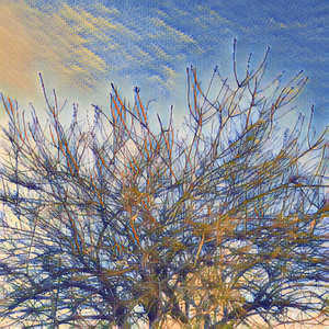 A photograph of bare tree branches reaching into a textured sky, enhanced with a painterly effect, blending natural elements with abstract artistic style.