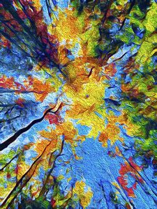 Painterly photograph of autumn treetops viewed from below, with vibrant leaves against a blue sky, captured by Blaine Stoner.