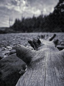 A jigsaw puzzle featuring a weathered log on a rocky beach with a blurred background of rugged rocks.