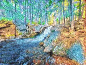 Painterly photograph of a woodland stream cascading over rocks at Peters Brook, surrounded by a vibrant forest, captured by Blaine Stoner.