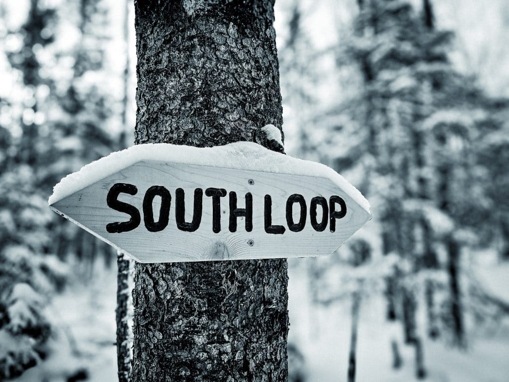 South Loop