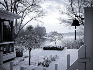 The Backyard Bay