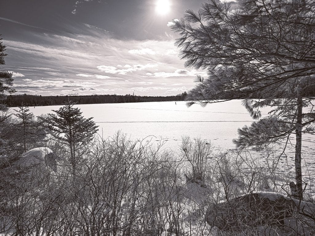 The Frozen Pond