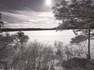 The Frozen Pond