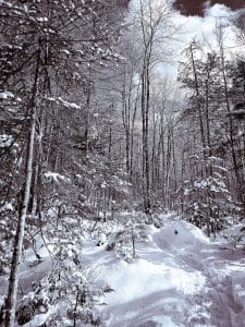 The Winter Pass