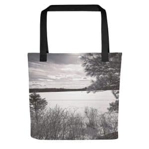 all over print tote bag black 15x15 mockup 682a119e73cb4.jpg