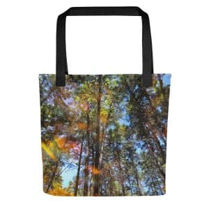 all over print tote bag black 15x15 mockup 682a211fcd4ce.jpg