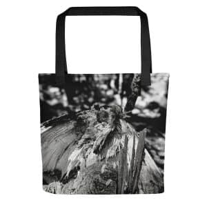 all over print tote bag black 15x15 mockup 682a34f8c9cc6.jpg