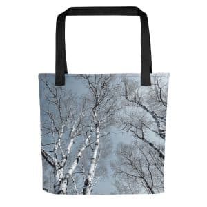 all over print tote bag black 15x15 mockup 682a4545a46c9.jpg