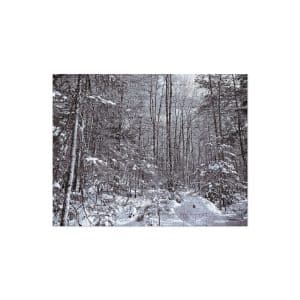 jigsaw puzzle 252 pieces front 68288e42d2ac2.jpg