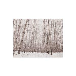 jigsaw puzzle 252 pieces front 682890e96e0d9.jpg
