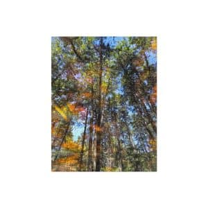jigsaw puzzle 252 pieces front 68289a7aa7ded.jpg