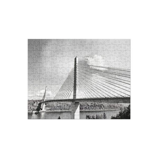jigsaw puzzle 252 pieces front 6828b0156e74b.jpg