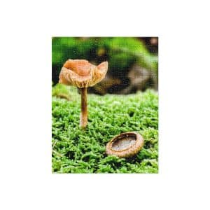 jigsaw puzzle 252 pieces front 6828b3baa4b9c.jpg