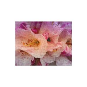 jigsaw puzzle 252 pieces front 6828d1dec5be0.jpg