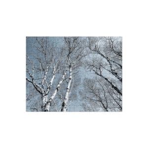 jigsaw puzzle 252 pieces front 6828d4ff7bd3b.jpg