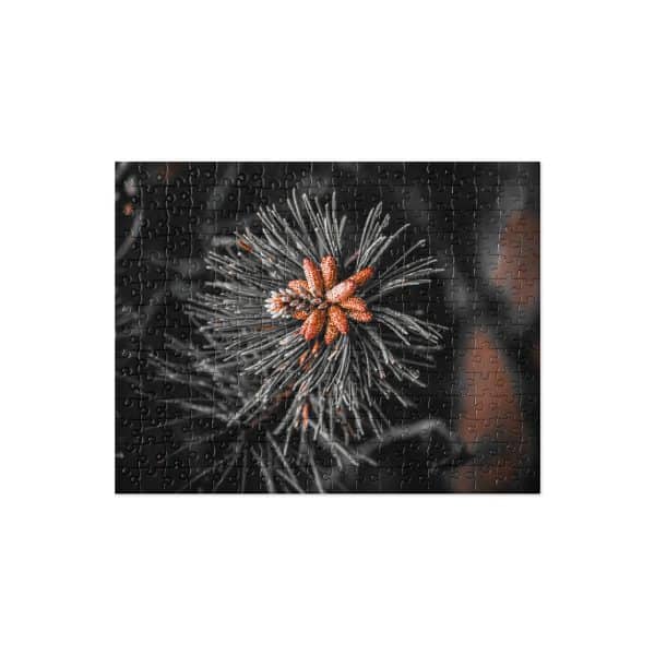 jigsaw puzzle 252 pieces front 6828e02e9eae6.jpg