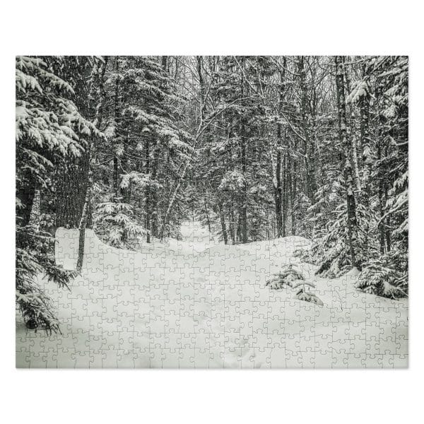jigsaw puzzle 520 pieces front 68288ff61921e.jpg