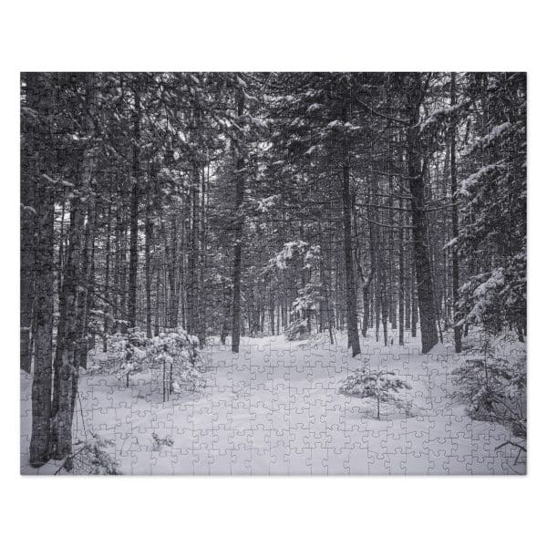 jigsaw puzzle 520 pieces front 682892785aa3c.jpg