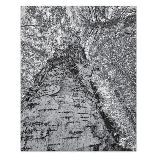 jigsaw puzzle 520 pieces front 68289952a1363.jpg