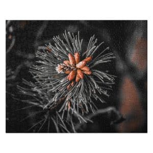 jigsaw puzzle 520 pieces front 6828b6ea592bc.jpg