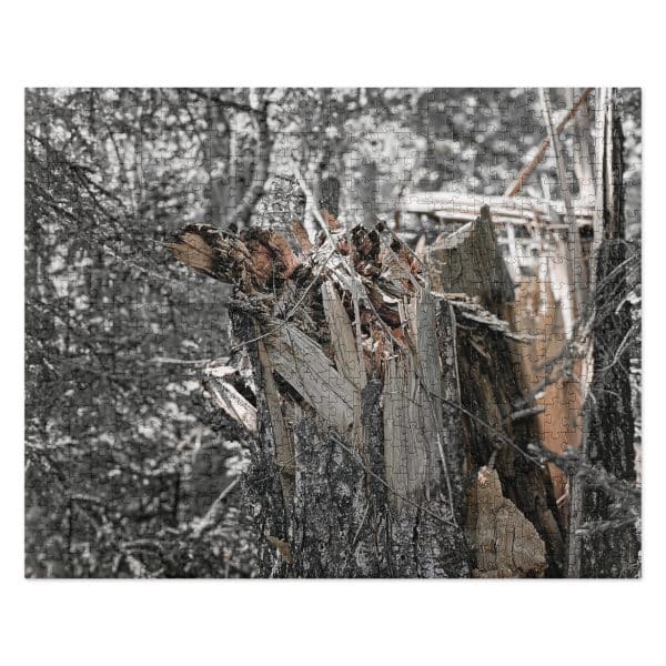 jigsaw puzzle 520 pieces front 6828b7d2dbe4a.jpg
