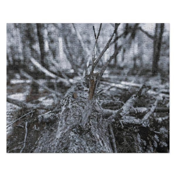 jigsaw puzzle 520 pieces front 6828b9e93be49.jpg