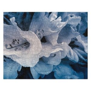 jigsaw puzzle 520 pieces front 6828df9ced475.jpg