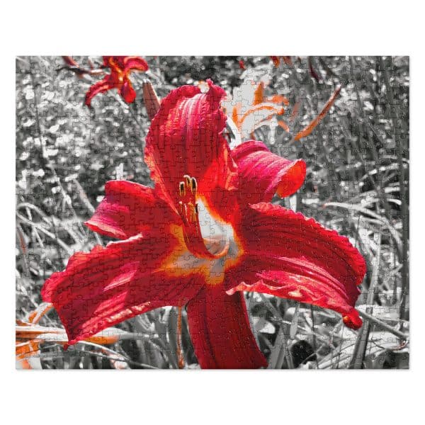 jigsaw puzzle 520 pieces front 682915f8102e2.jpg