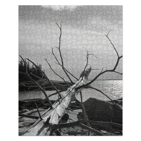 jigsaw puzzle 520 pieces front 6829bbab06cc7.jpg