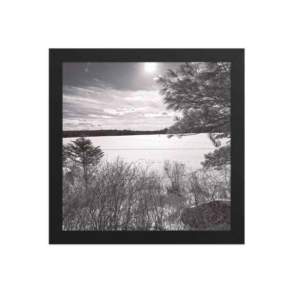 premium luster photo paper framed poster in black 10x10 front 682d0858bbfa3.jpg