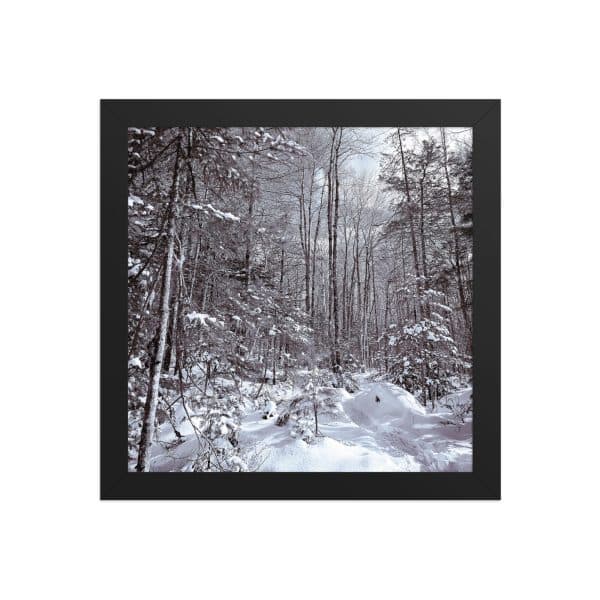 premium luster photo paper framed poster in black 10x10 front 682d16d9602a8.jpg
