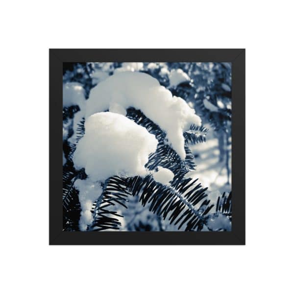 premium luster photo paper framed poster in black 10x10 front 682d193ae5982.jpg