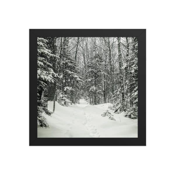 premium luster photo paper framed poster in black 10x10 front 682d1b2ecd64f.jpg