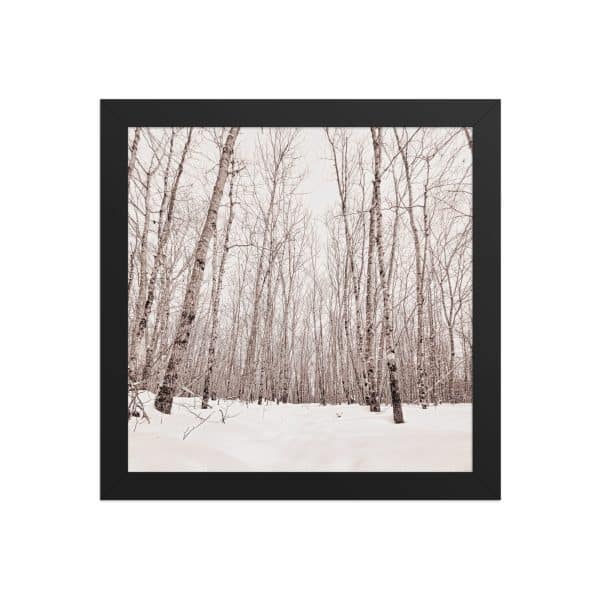 premium luster photo paper framed poster in black 10x10 front 682d98ab8e58c.jpg