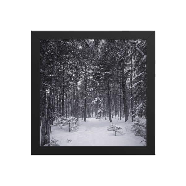 premium luster photo paper framed poster in black 10x10 front 682d9aa7ac950.jpg