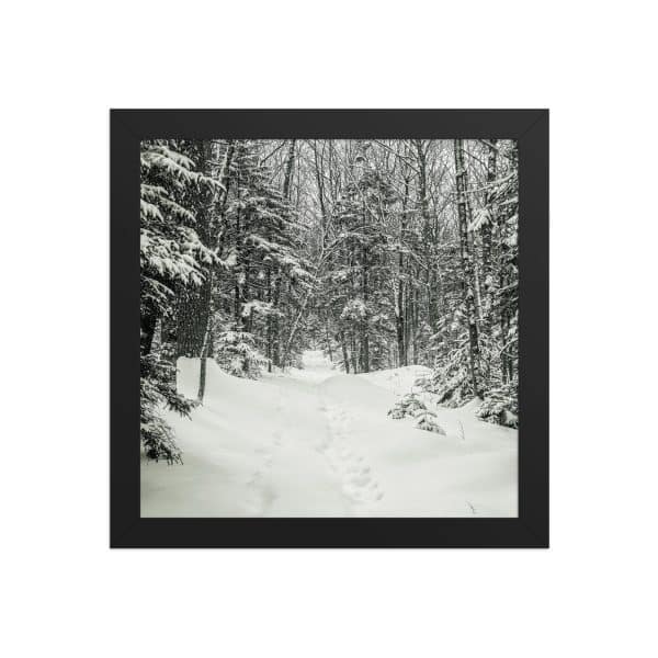 premium luster photo paper framed poster in black 10x10 front 682d9c6b3c6ed.jpg