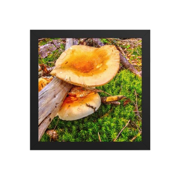 premium luster photo paper framed poster in black 10x10 front 68310c75ce6fd.jpg