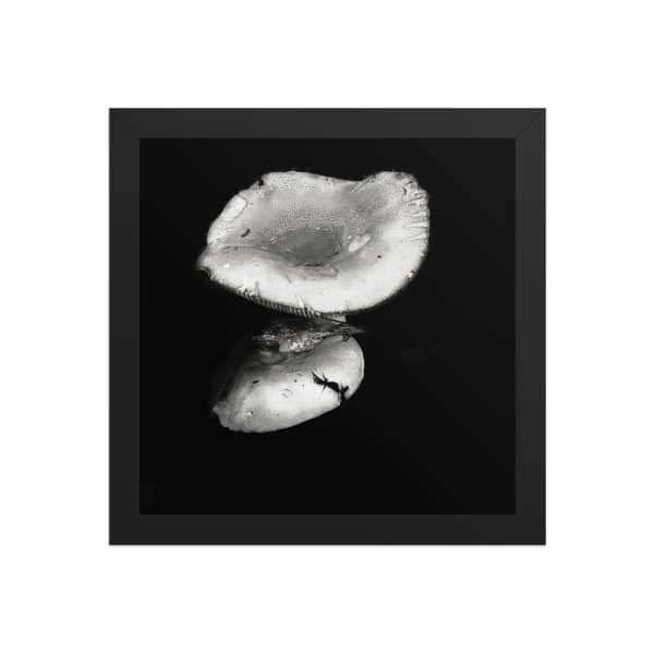 premium luster photo paper framed poster in black 10x10 front 68310ea357dcc.jpg