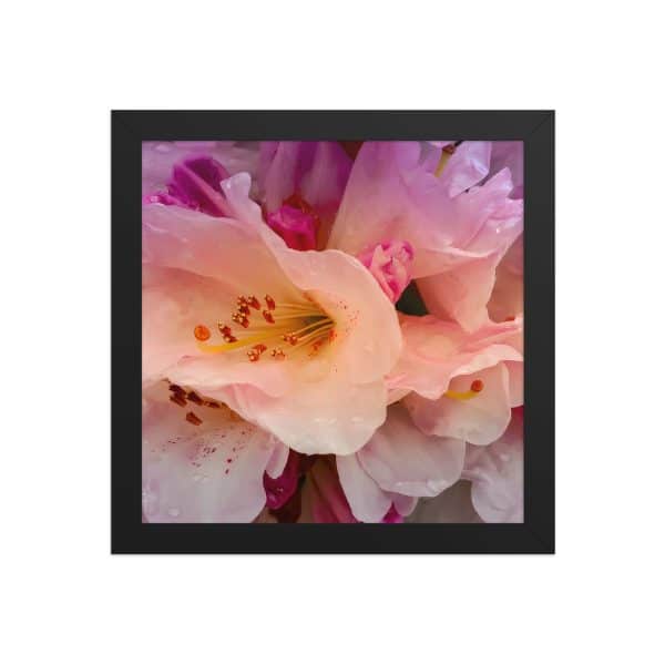 premium luster photo paper framed poster in black 10x10 front 683111d334fe8.jpg